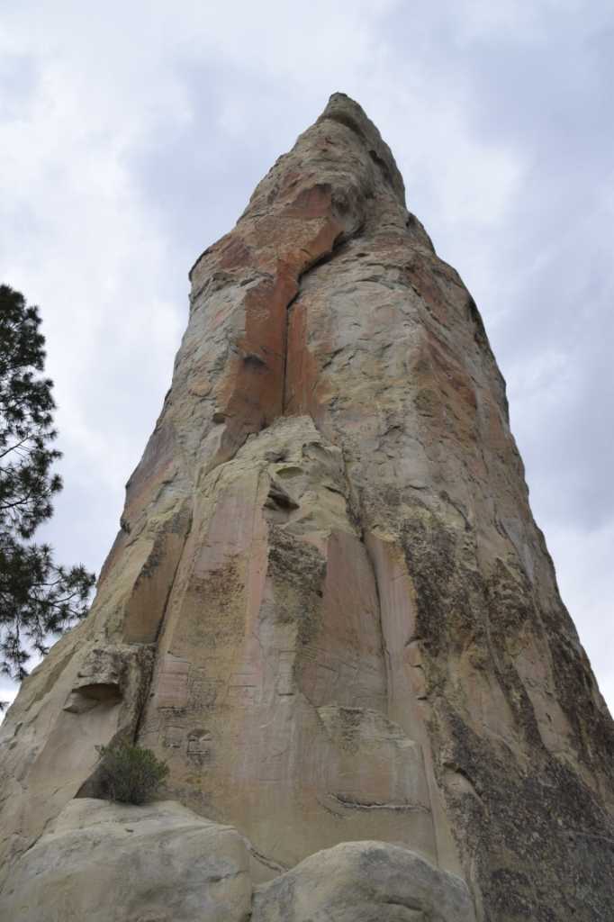 DSC_0721Mittel_.JPG